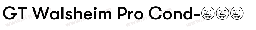 GT Walsheim Pro Cond字体转换